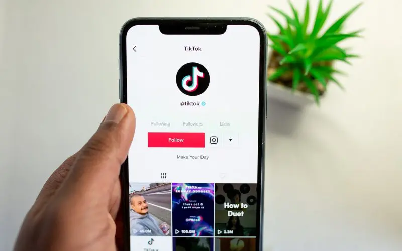 Pourquoi tant de gens ont commencé à utiliser TikTok ?