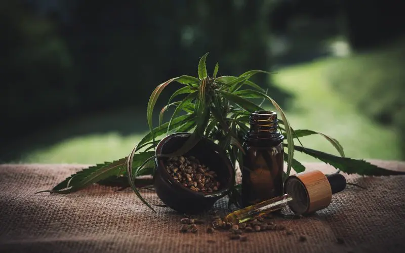 Quelles sont les meilleures méthodes de consommation de CBD ?