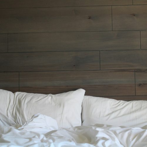 L’importance du traitement thermique des punaises de lit pour la satisfaction des clients de l’hôtel