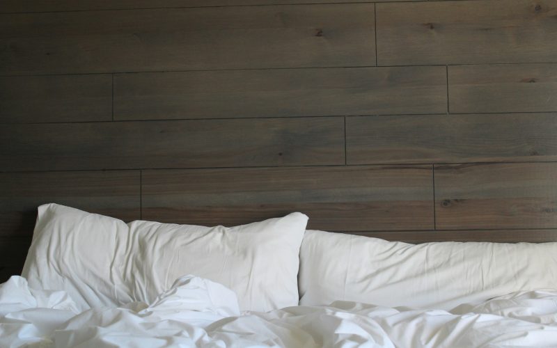 L’importance du traitement thermique des punaises de lit pour la satisfaction des clients de l’hôtel