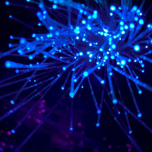 GPON, quand la fibre optique devient verte