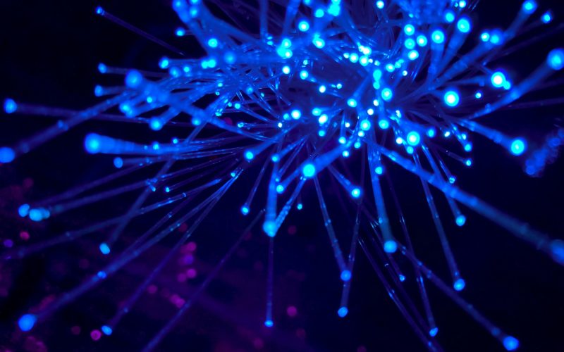 GPON, quand la fibre optique devient verte